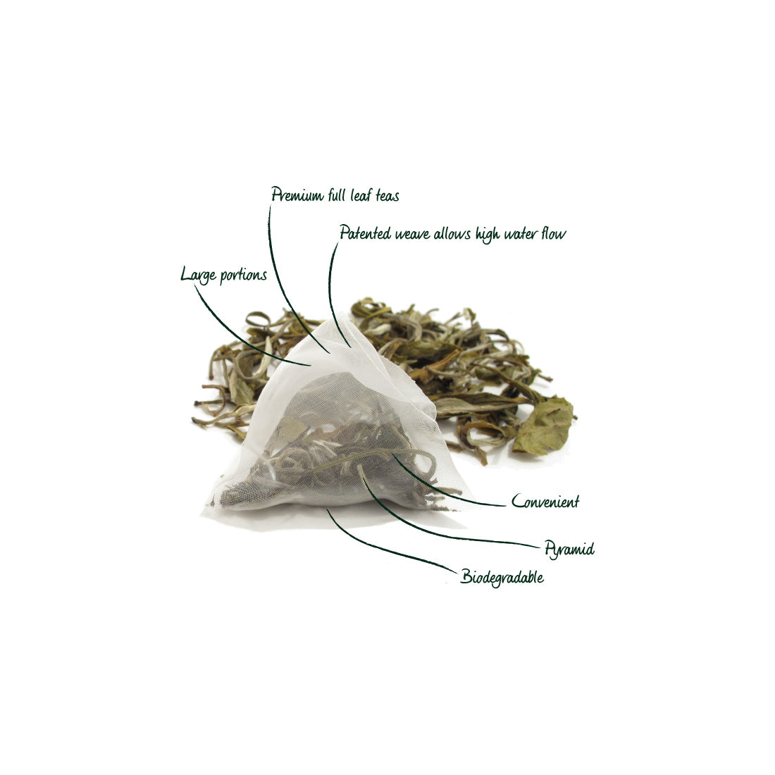 Green Tea pyramid tea bag
